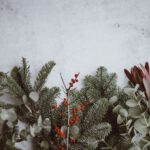 Christmas Japan - photo of green leafed plants