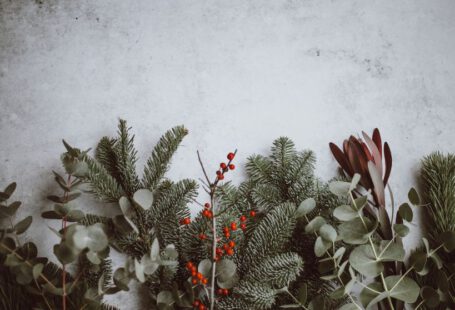 Christmas Japan - photo of green leafed plants