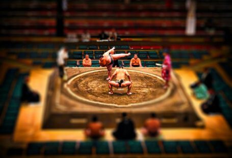 Sumo Wrestling - people playing on stadium during daytime