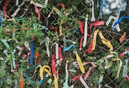 Japanese Customs - a bunch of colorful objects in a grassy area