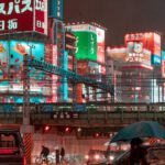 Japanese Anime - people walking on street during night time