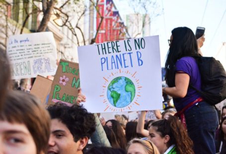 Climate - person holding there is no planet b poster