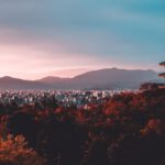 Japan - pagoda surrounded by trees