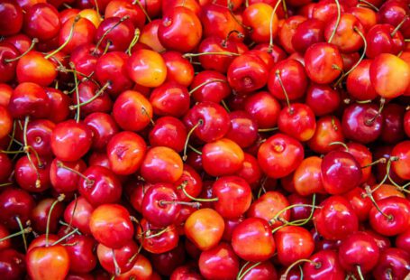 Cherry Significance - red berry lot