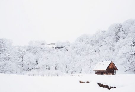 Rural Japan - snow-covered tree lot during daytime