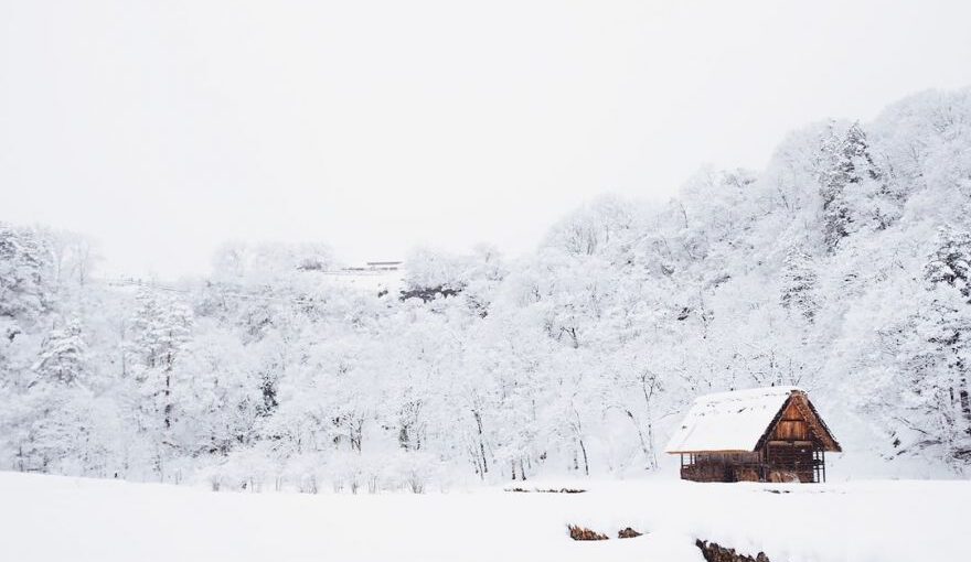 Rural Japan - snow-covered tree lot during daytime