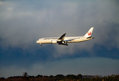 Japanese Airlines - white transportation plane