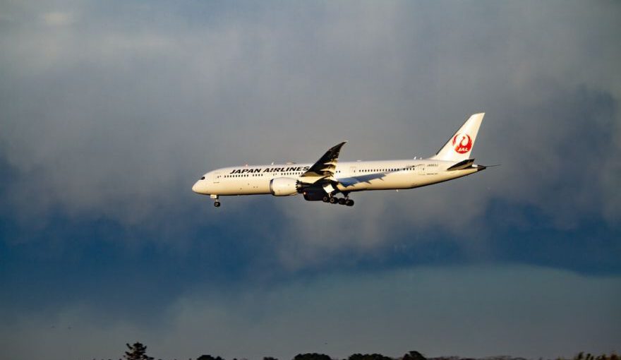 Japanese Airlines - white transportation plane